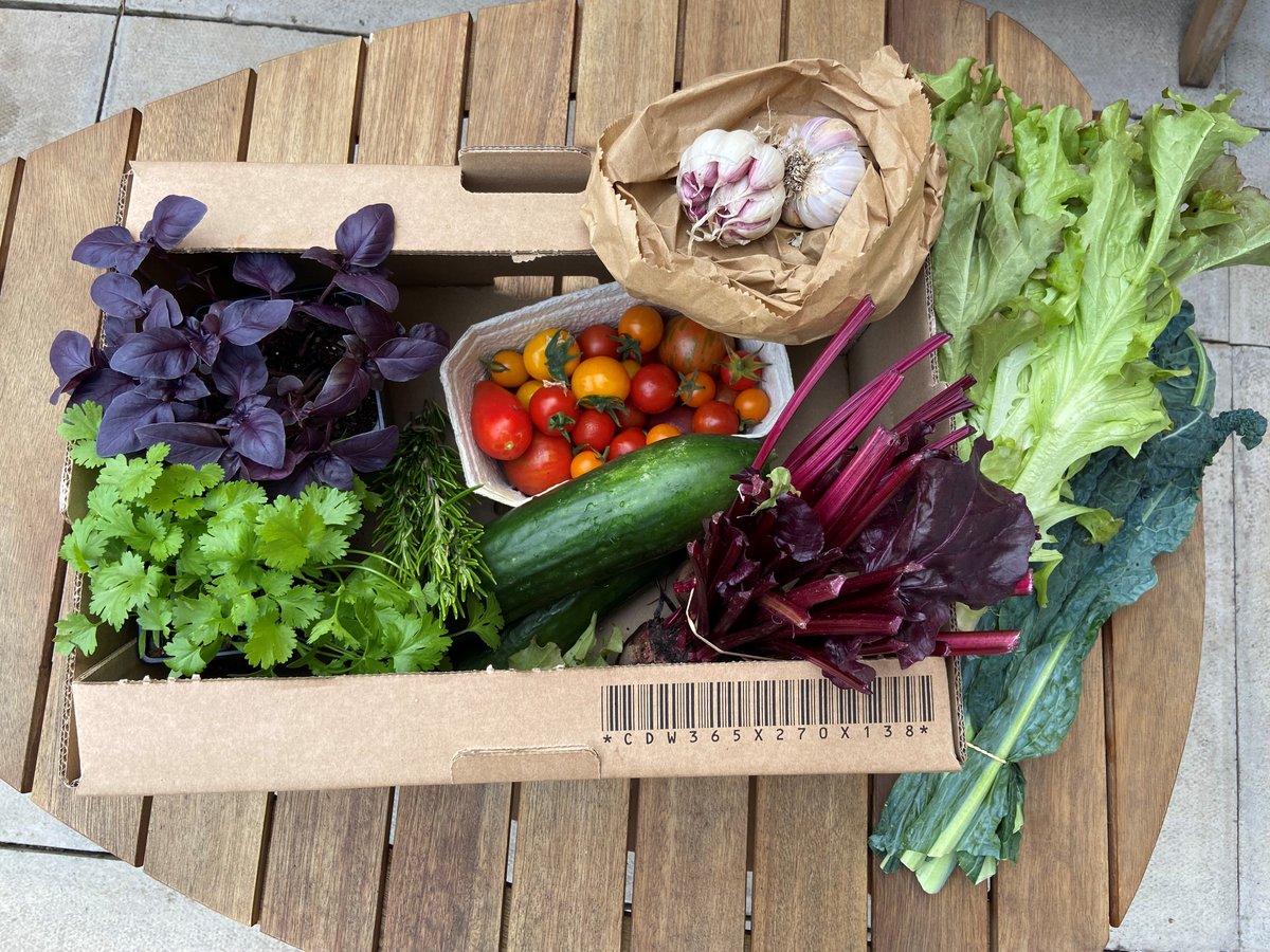 daisychain_ne's tweet photo. Next week's #vegboxes are now available to purchase on our website! Wondering how it works? π₯π
It couldn't be simpler to enjoy delicious, sustainable produce and support the community in the process.
Book your slot now: https://t.co/cf9sxppCqd https://t.co/igu77I4HzP
