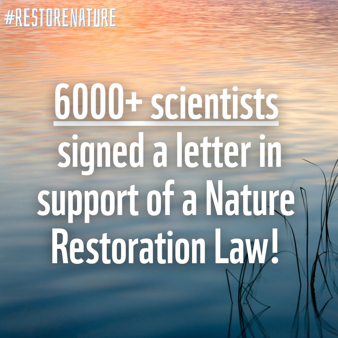 Over 6000 scientists called on policymakers to act responsibly &amp; progress with the #RestoreNature law!

They debunk 6 claims used by the opponents of the Nature Restoration &amp; SUR laws that contradict the scientific evidence ❌

Their letter: idiv.de/fileadmin/cont…

Read more 🧵