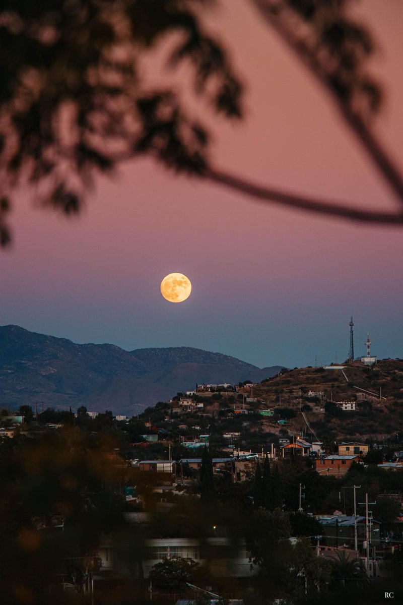 ReneCecena's tweet photo. Nogales, Sonora. 🌕 #Nogales @VisitSonora @mexdesconocido https://t.co/y8tYo2VNrp