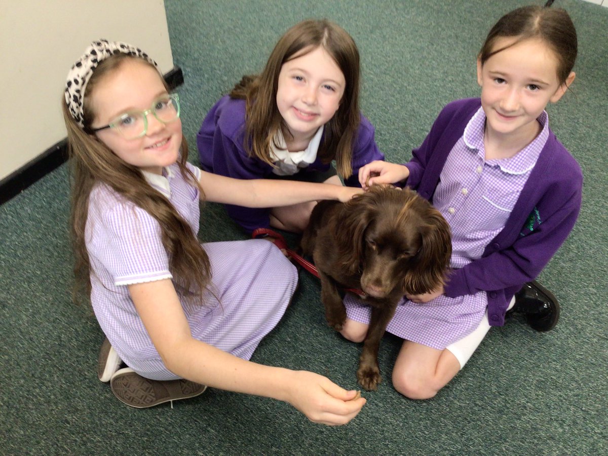 Overchurch_Jnrs's tweet photo. Buddies and councillors welcomed Year 2 pupils to Overchurch Junior School. Tilly helped too! 🌳🌟Thank you! https://t.co/v4qT9t32lA