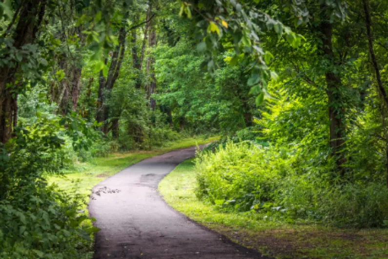 shannonsidenews's tweet photo. Call for route selection of Ballinamore to Kilclare Greenway

https://t.co/7mMLP86Xoa https://t.co/Cijrp2HQeq