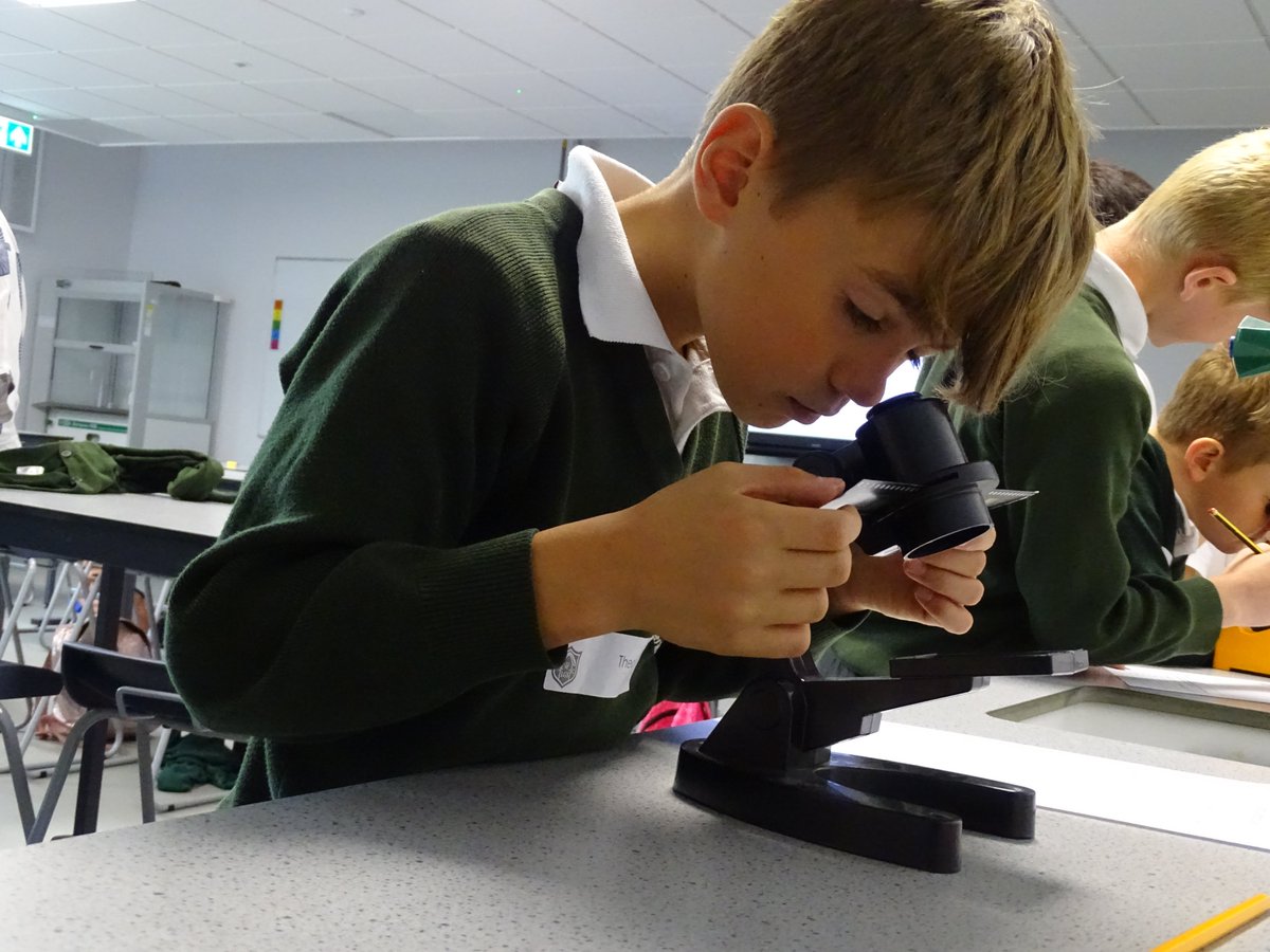 stgregoryscs tweet media