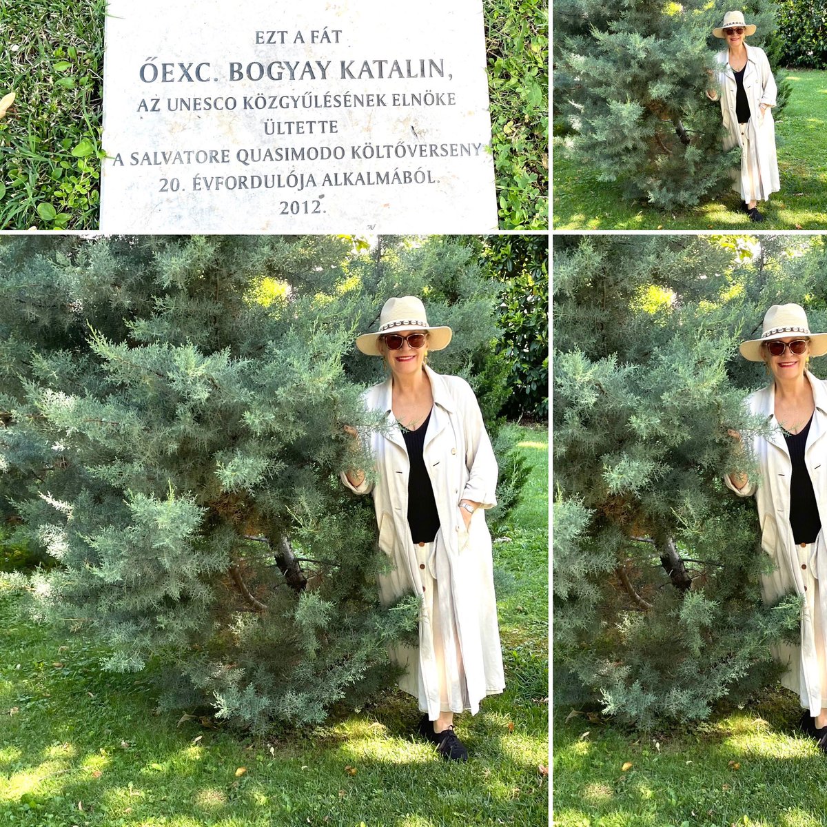 Visiting the tree I planted at Balatonfüred Tagore Walk in the poetry garden celebrating International Quasimodo Poetry Compettition! #poetrycansaveus