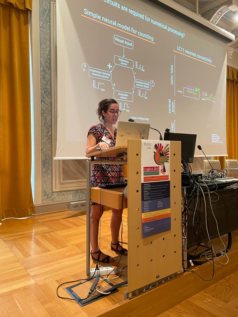 Maria Bortot (@bemaryb) on Twitter photo Here we go! 😄
The first full day of CogEvo kicks off with Mercedes Bengochea of <a href="/InstitutCerveau/">Institut du Cerveau - Paris Brain Institute</a>, bringing us “Behavioral and neural basis of numerical discrimination in Drosophila melanogaster”
#CIMeCevents #CogEvo2023
<a href="/merbengochea/">Mercedes Bengochea</a> Here we go! 😄
The first full day of CogEvo kicks off with Mercedes Bengochea of <a href="/InstitutCerveau/">Institut du Cerveau - Paris Brain Institute</a>, bringing us “Behavioral and neural basis of numerical discrimination in Drosophila melanogaster”
#CIMeCevents #CogEvo2023
<a href="/merbengochea/">Mercedes Bengochea</a>
