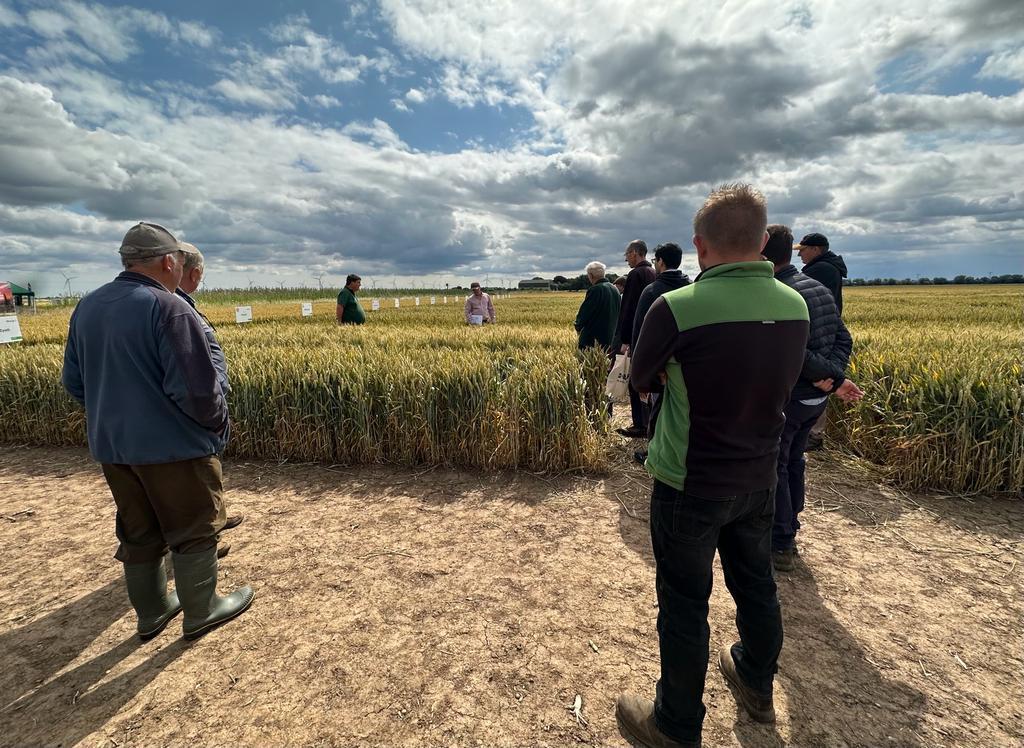 BASFcropUK's tweet photo. Fantastic day at #Rawcliffe Bridge yesterday for our annual #RealResults Live with variety & fungicide tours, @easyconnect_CTS & #blackgrass table via @ADASGroup & of course fish & chips.
Thank you for hosting @dikesmarshfarm & family & hope to see you all again next year! https://t.co/fyoeYfTaZw