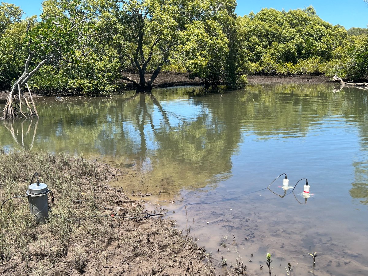 Centre for Coastal Biogeochemistry tweet media