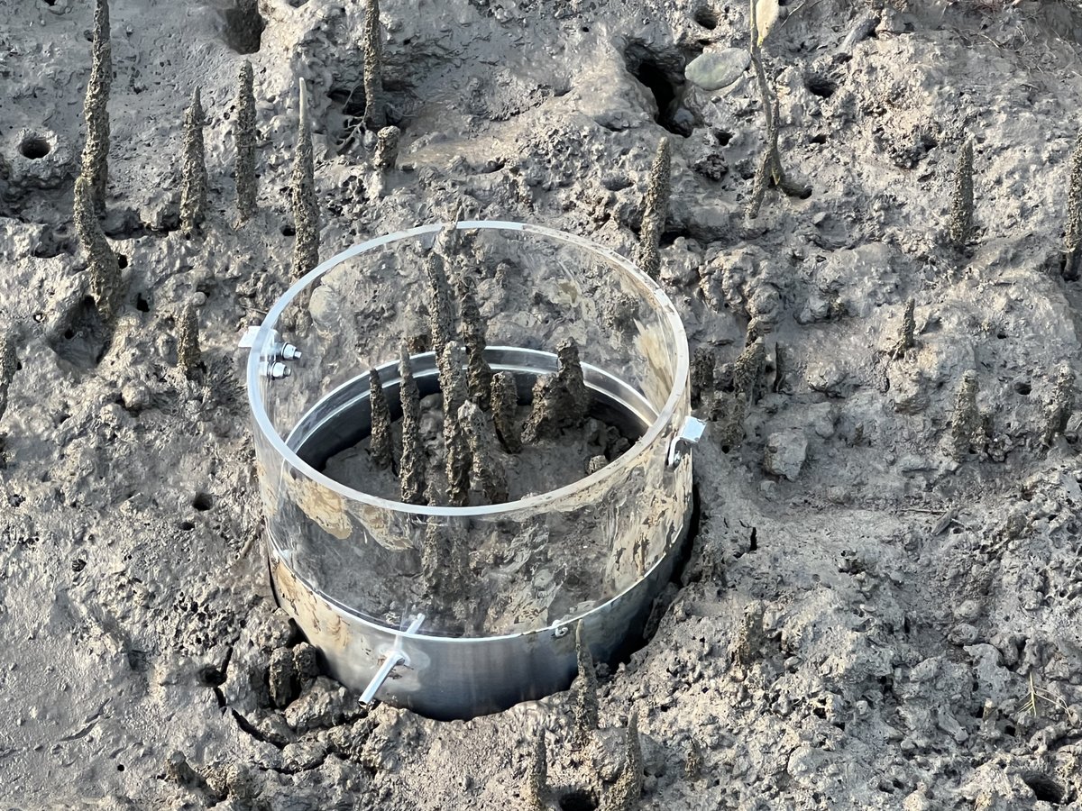 Centre for Coastal Biogeochemistry tweet media