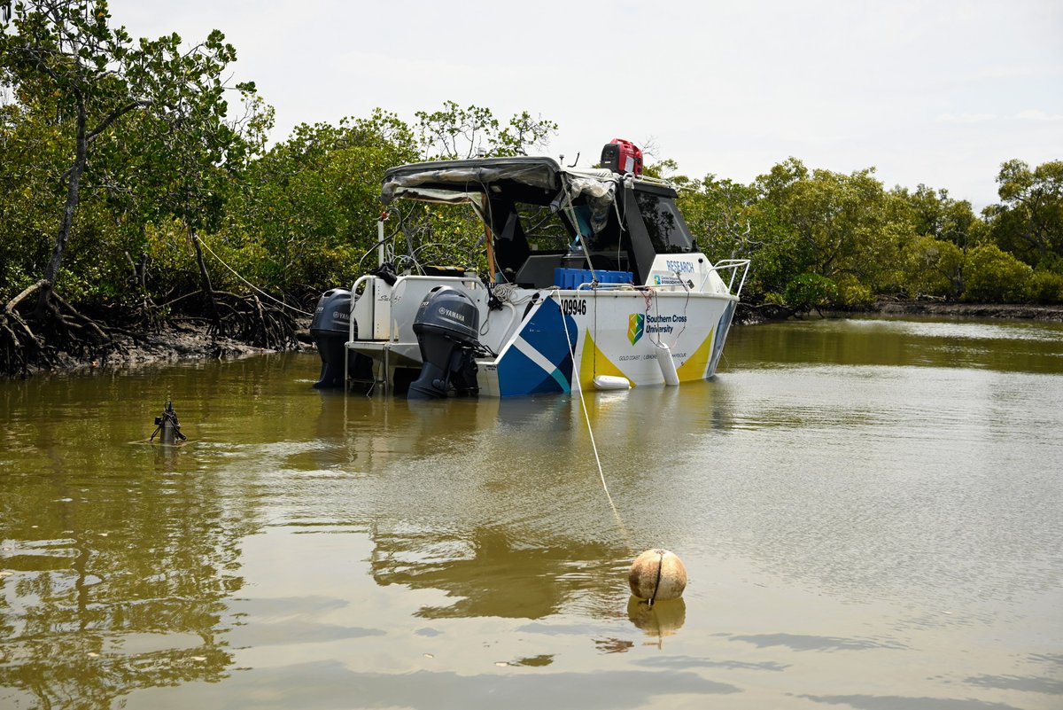 Centre for Coastal Biogeochemistry tweet media