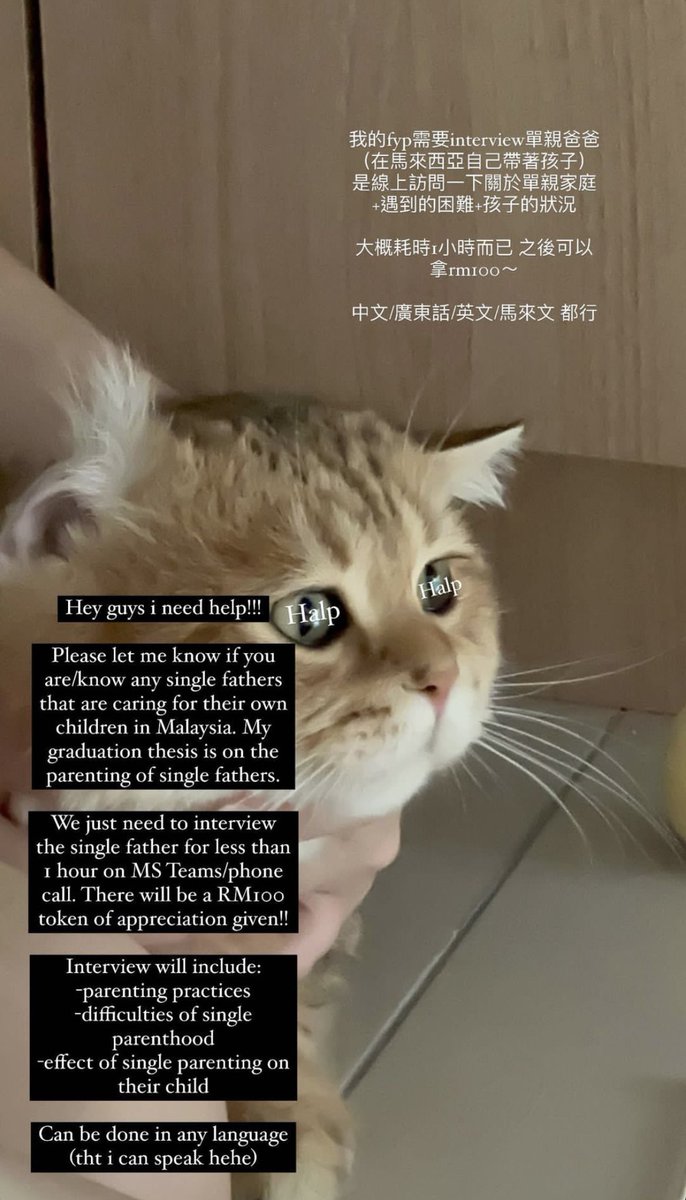 uWu_meow2racha's tweet image. [🇲🇾Help Rt]
Please let me know if you are/know any single fathers that are caring for their children in Malaysia. 
We just need to interview for less than 1 hour on online plateform/phone call. There will be a RM100 token of appreciation given!! 
#malaysia #fyp #finalyearproject
