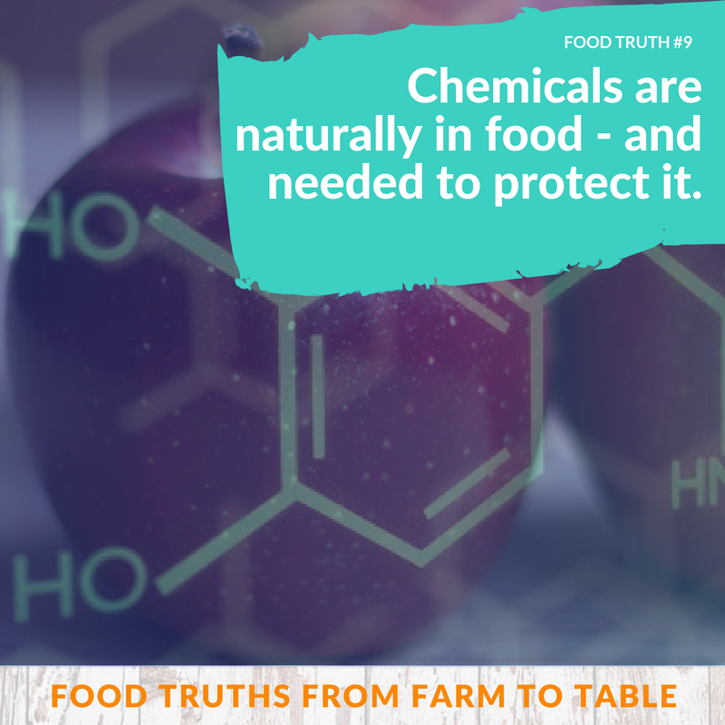 mpaynspeaker's tweet image. Today's #Foodtruth - Chemicals are naturally in #food &amp;amp; needed to protect it. Where fruit grows, pests thrive. Apples without worms &amp;amp; cherries without bugs require chemicals. #foodchat