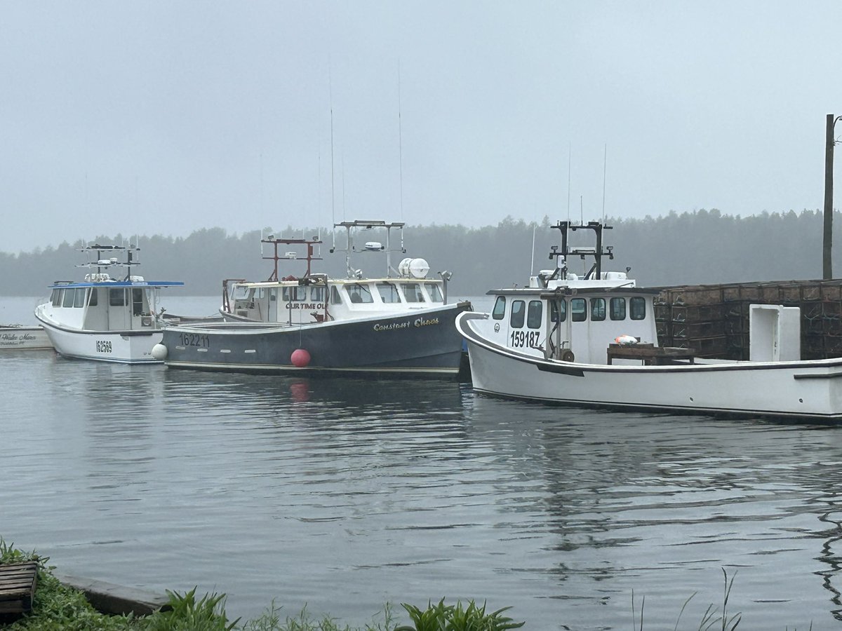 Tricia Richardson tweet media