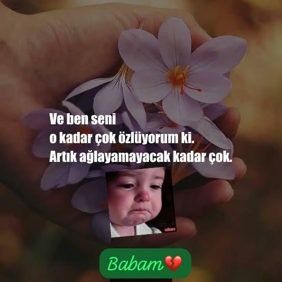 nazikom2's tweet photo. https://t.co/qUSriVgmb0