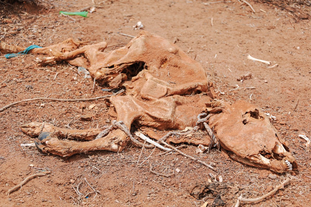 Oxfam Kenya tweet media