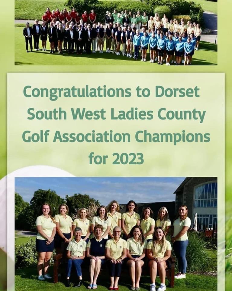 Nikki Jane Mans tweet media