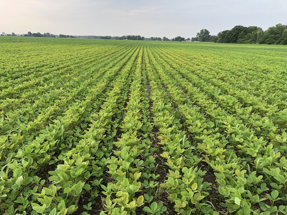 Ryan Benjamins tweet media