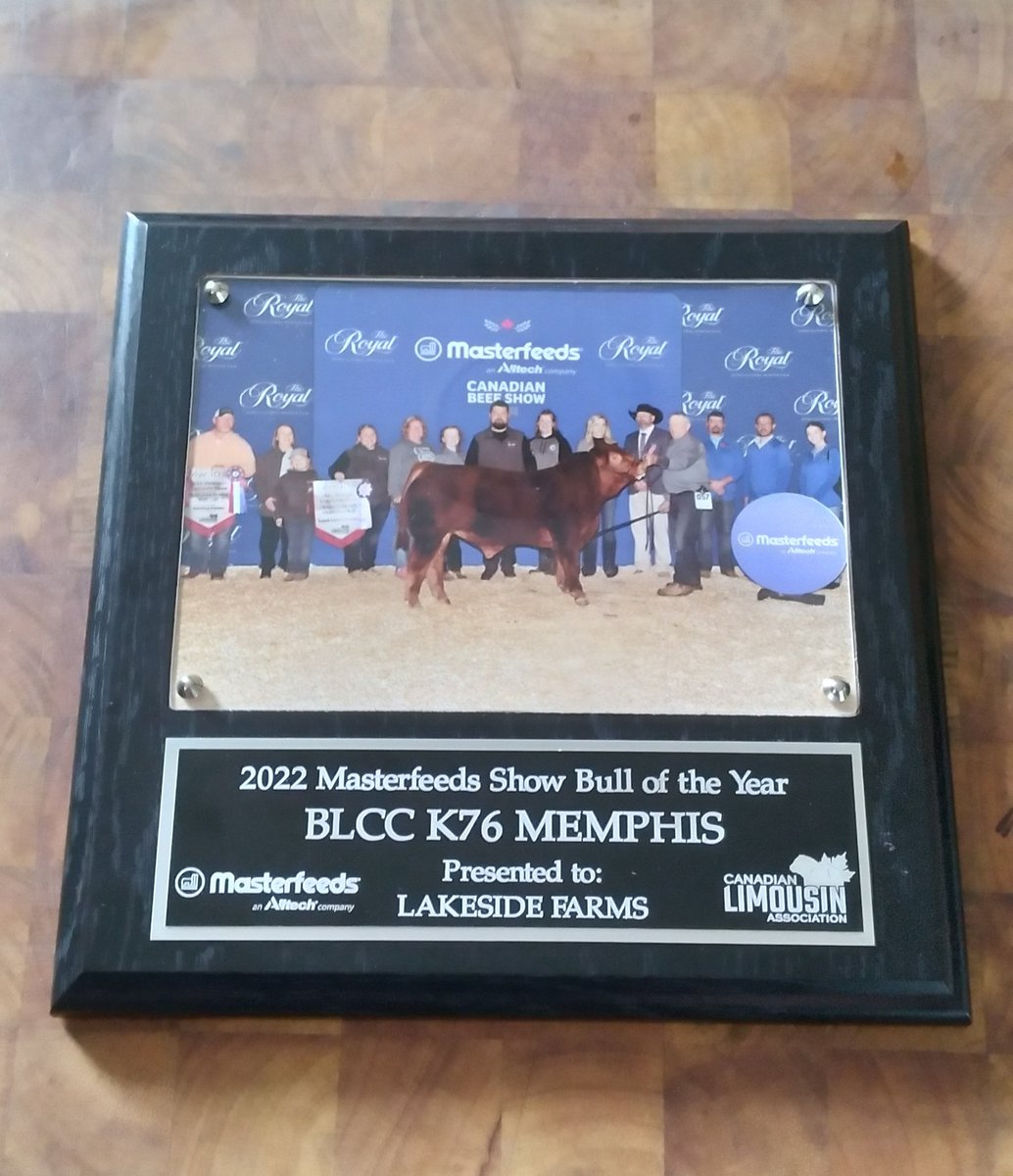 Mary Lynn Lawrence tweet media