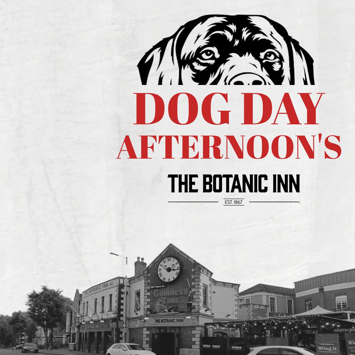 The Botanic Inn tweet media