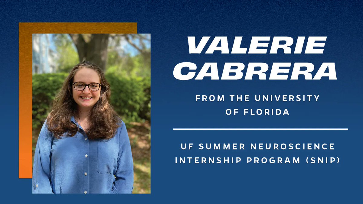 UFNeuroscience's tweet photo. Meet Valerie! A junior at @UF, Valerie Cabrera is completing her SNIP research experience under the mentorship of Dr. Eduardo Candelario-Jalil. #SNIP23 https://t.co/9D30ozsgB2