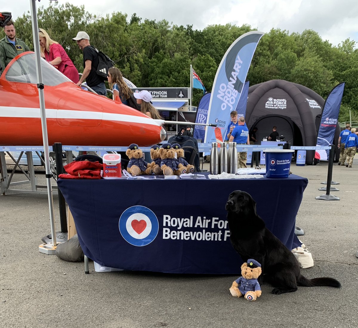 RAFBF's tweet photo. Just had a special visitor. This is Ted, he’s keeping us safe this weekend. He made a new friend on our stand who is now going round Silverstone with him. Pictured with our lovely helpers, Joe and Richie. #RAFBF1 #BritishGP https://t.co/m7bZdrWcXV