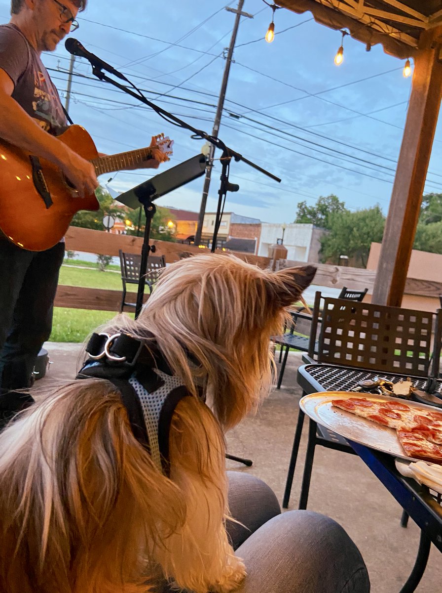 TheSingingDoc's tweet photo. I wonder… was Jax really even listening to me? #pizzafest #theworldaccordingtojax #jax #partiyorkie #theBuzzery #bostonga https://t.co/yPdkxtFv7R