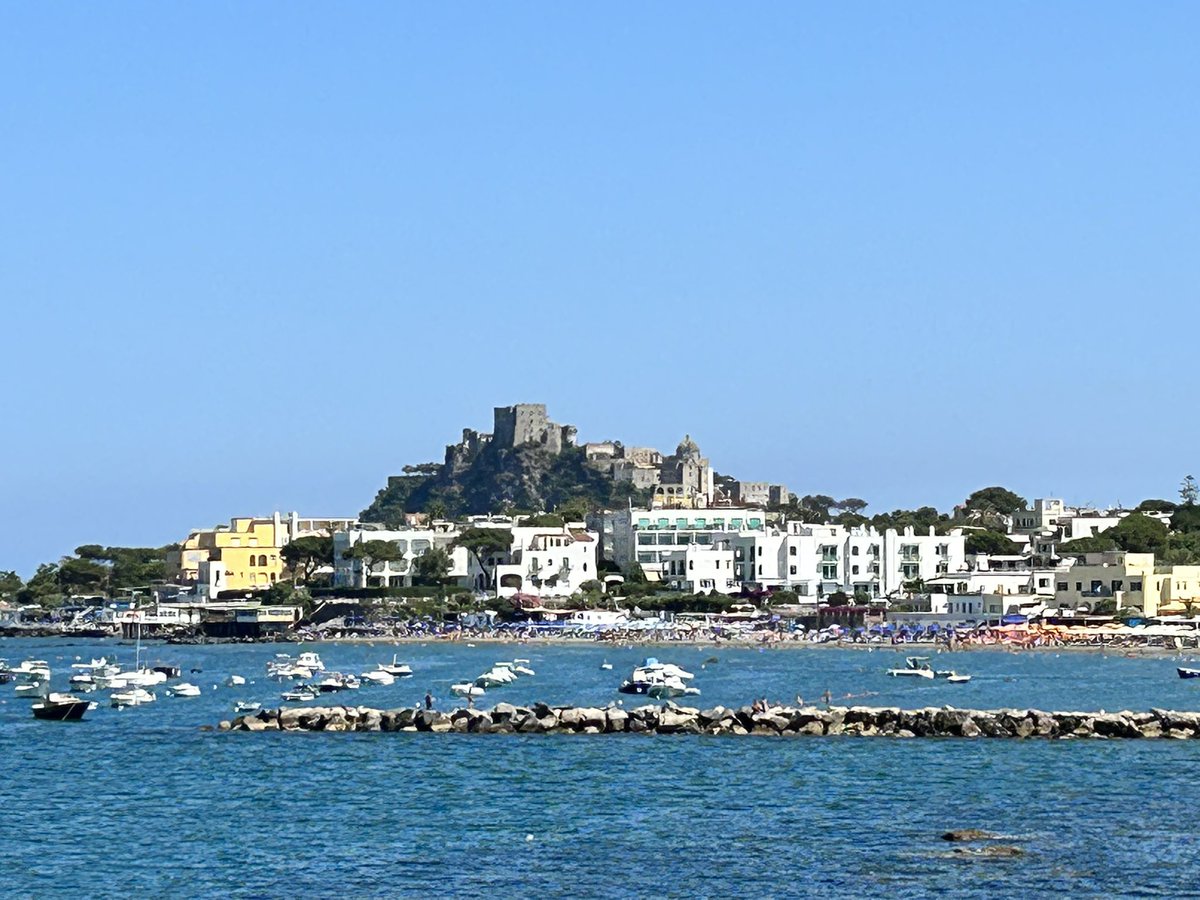 Katie Kelly tweet media