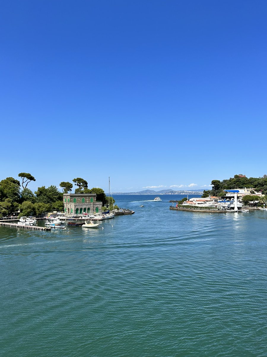 Katie Kelly tweet media