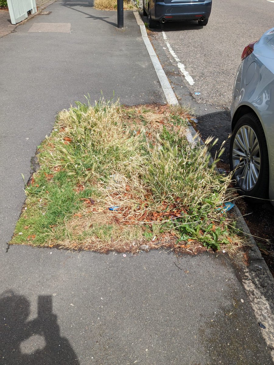 TreeLambeth's tweet image. Hey @lambeth_council @RezinaChowdhury @WestDulwichLab please can we have trees in these two empty pits on Rosendale Rd? Thanks!