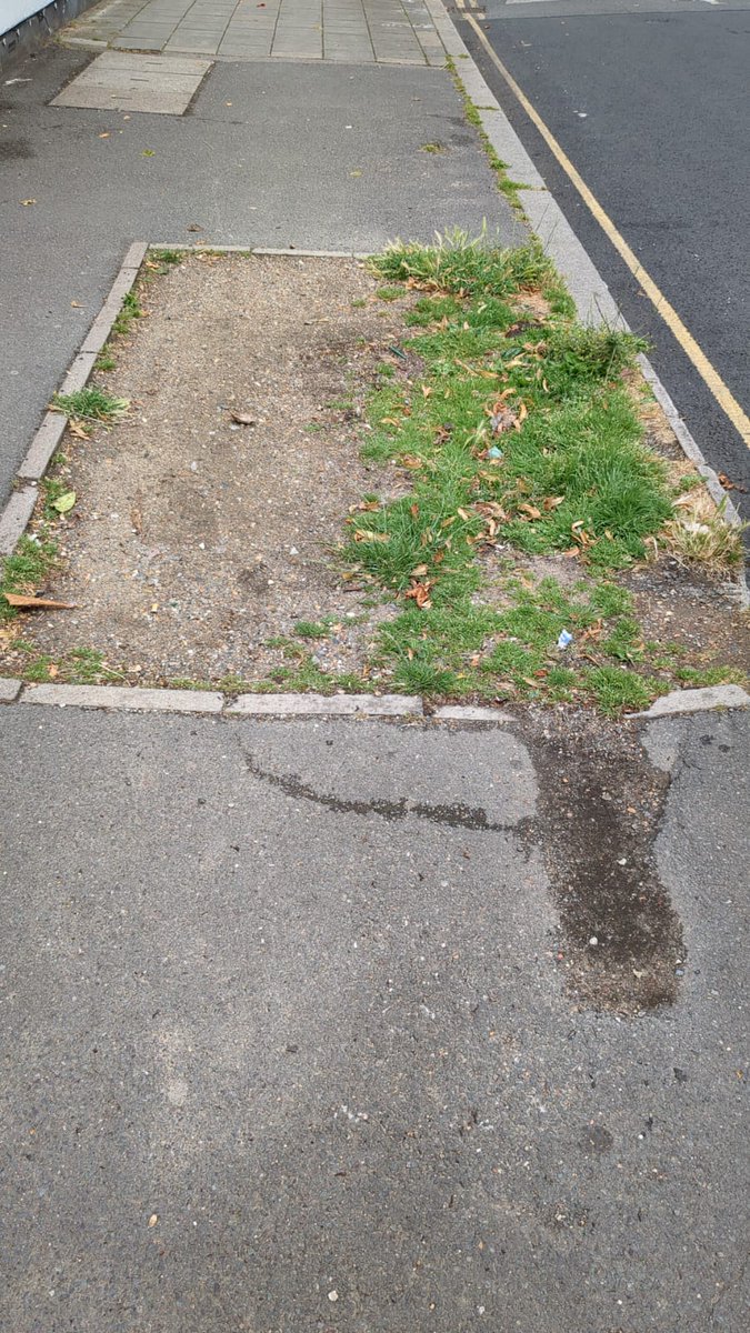 TreeLambeth's tweet image. Hey @lambeth_council @RezinaChowdhury @WestDulwichLab please can we have trees in these two empty pits on Rosendale Rd? Thanks!