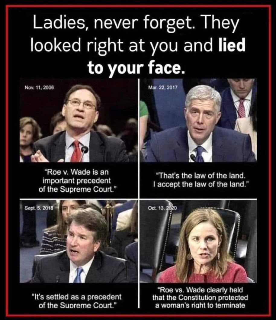 MargieVotes's tweet image. #SCOTUSReformNow  🌊