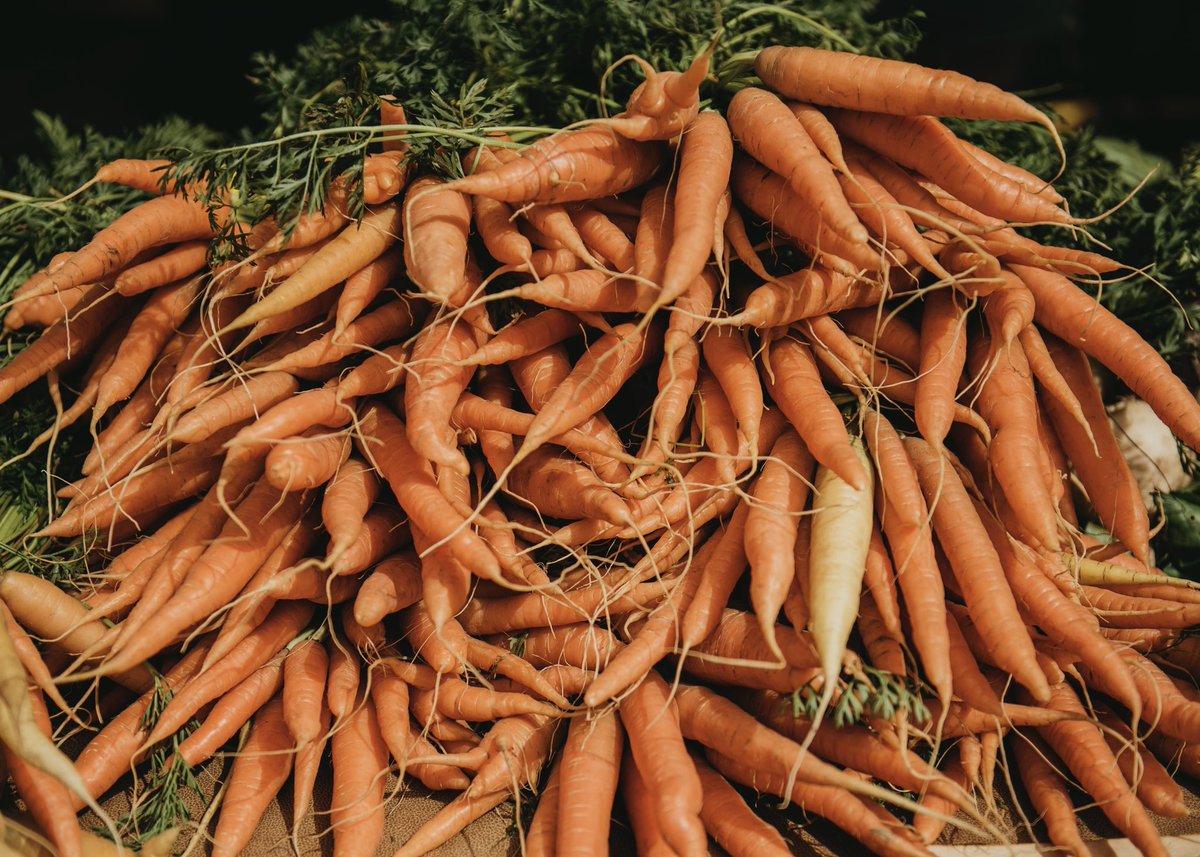 ReginaFarmersMarket tweet media