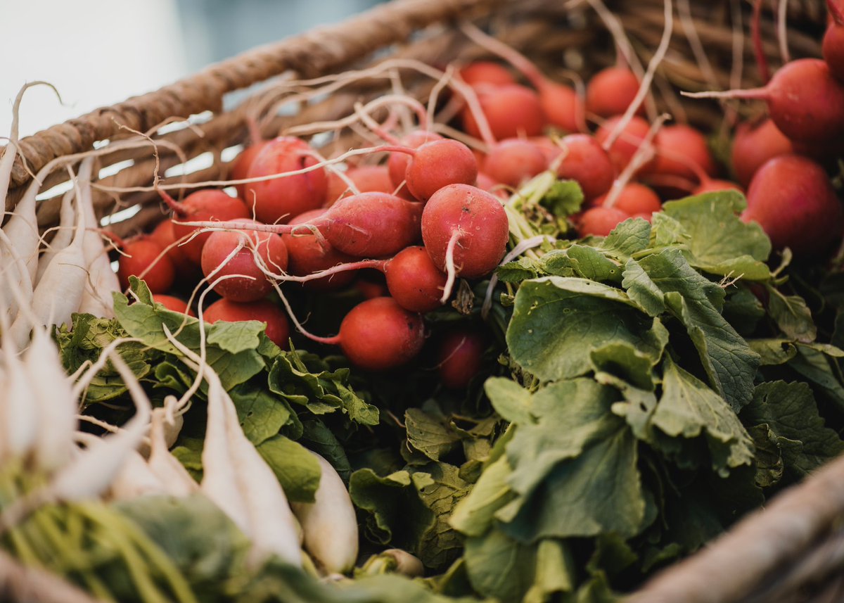 ReginaFarmersMarket tweet media