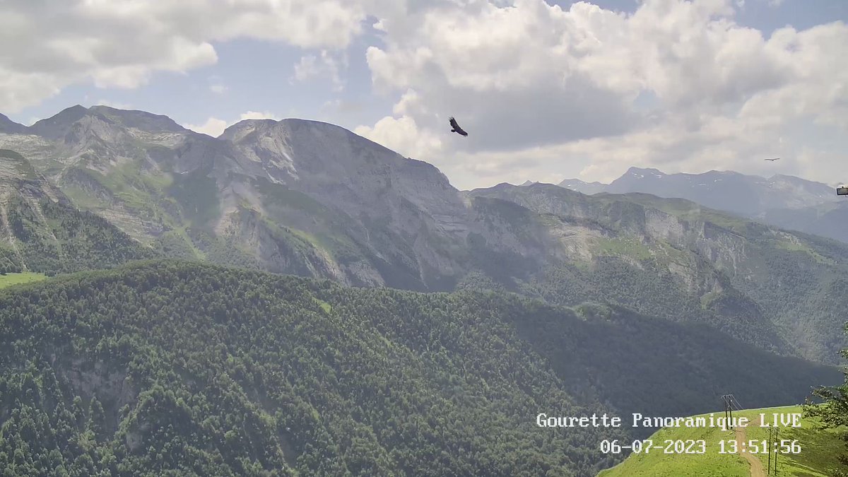 La bal des vautours 🪶🪶🪶 bit.ly/3JH3a8z
Lorsque la brise de pente est bien établie, là haut #aubisque c'est la valse des rapaces #gourette