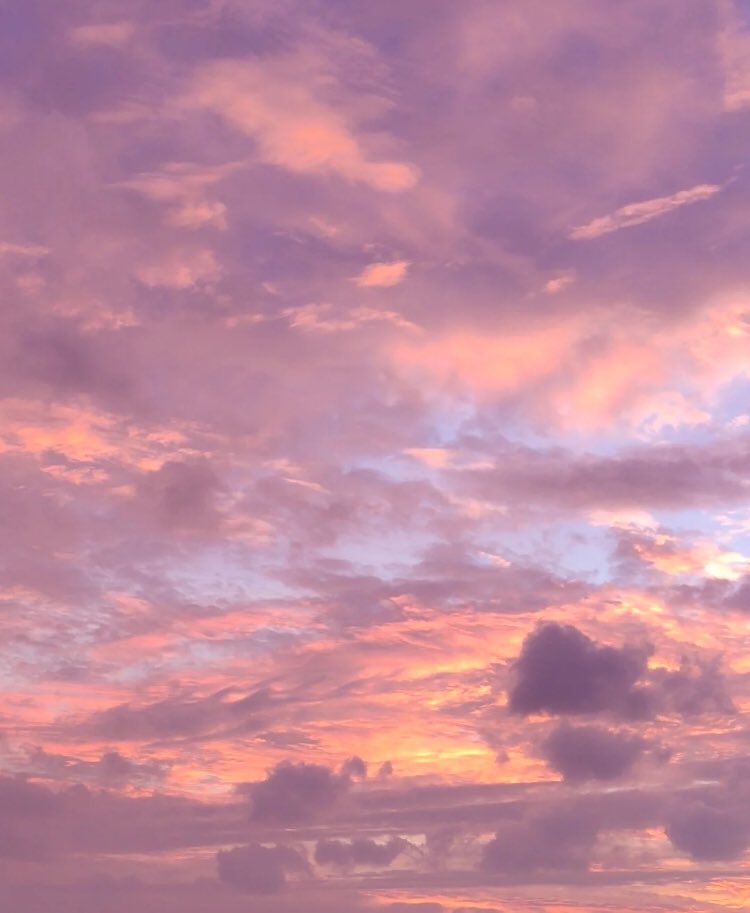 piinkibun's tweet photo. pink sky <3 https://t.co/NHp6wvKJ2Y