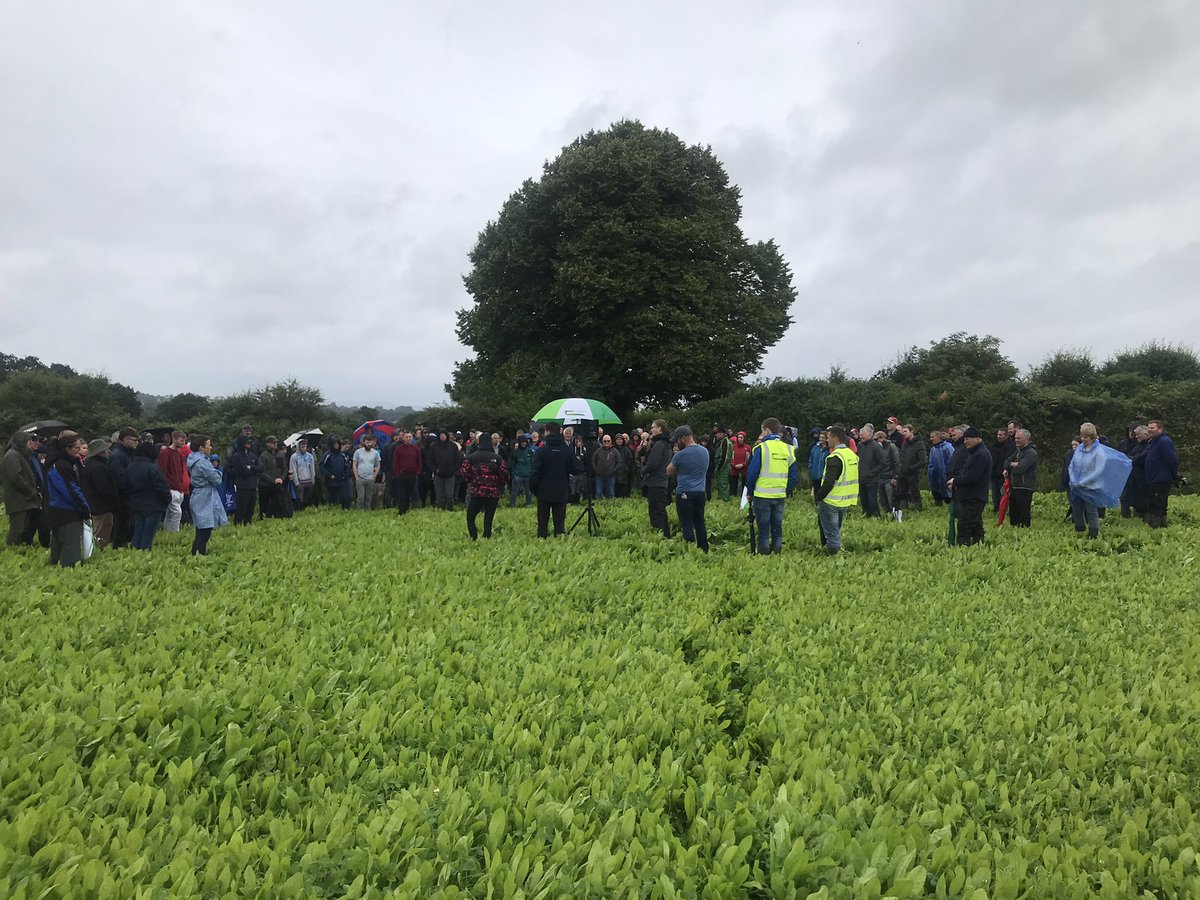 TeagascOrganics tweet media