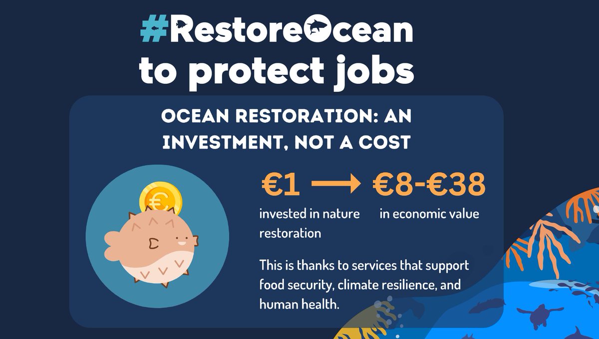 SeasAtRisk's tweet photo. Ocean restoration 🪸🌱🐟 is an investment, not a cost.

Each €1 spent on ocean restoration has a return of €8-€38! 💰🪙💵

MEPs: on 12 July say YES to the #NatureRestorationLaw to invest in the future of the ppl you represent! #RestoreOcean #RestoreNature https://t.co/OINnM0yFkG