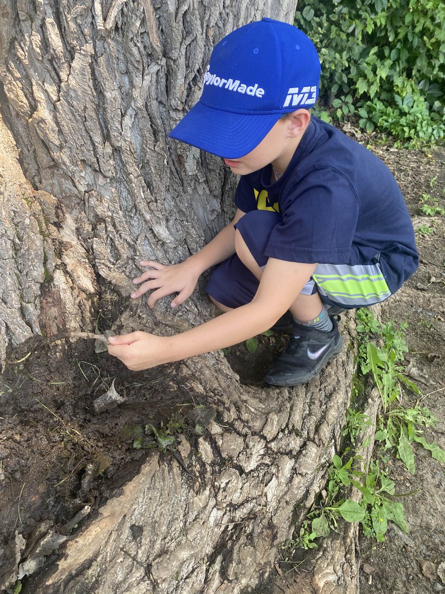 CDSBEO’s Summer Learning Program has begun at 12 locations across the region. This program focusses on literacy &amp; numeracy and includes #CDSBEOLearning experiences such as Indigenous community partner visits, field trips, games, arts &amp; crafts and outdoor education activities.