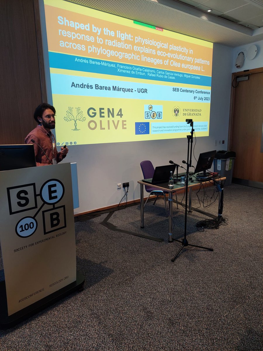 GEN4OLIVE tweet media