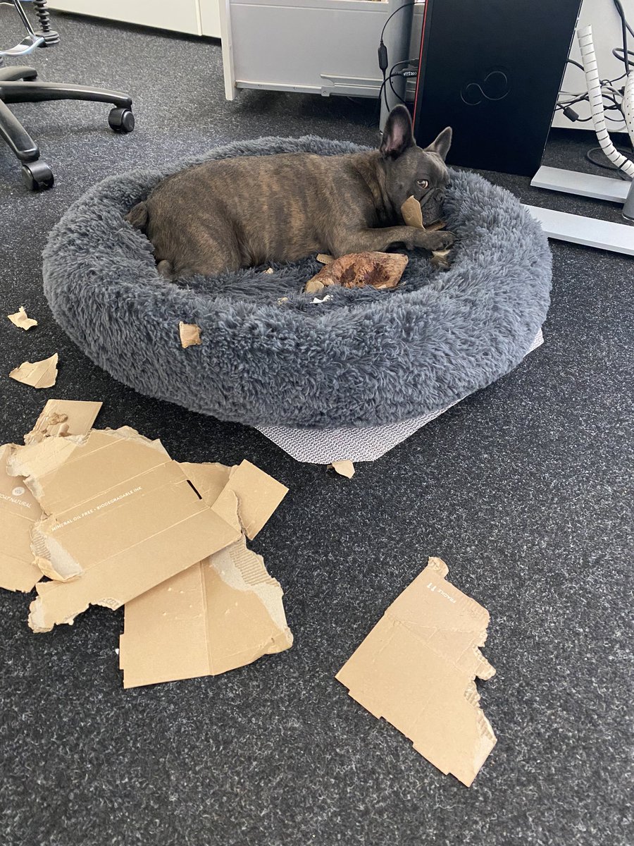 SigridBaumPR's tweet image. Schreddern macht Spaß