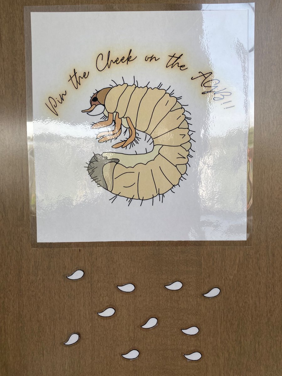 Came back from vacation to a fun new lab game! Pin the cheek on the AGB! I must say, I have a great group of students working with me this summer - and I’m so thankful for that! #scout23 #students #researchgames #entomology