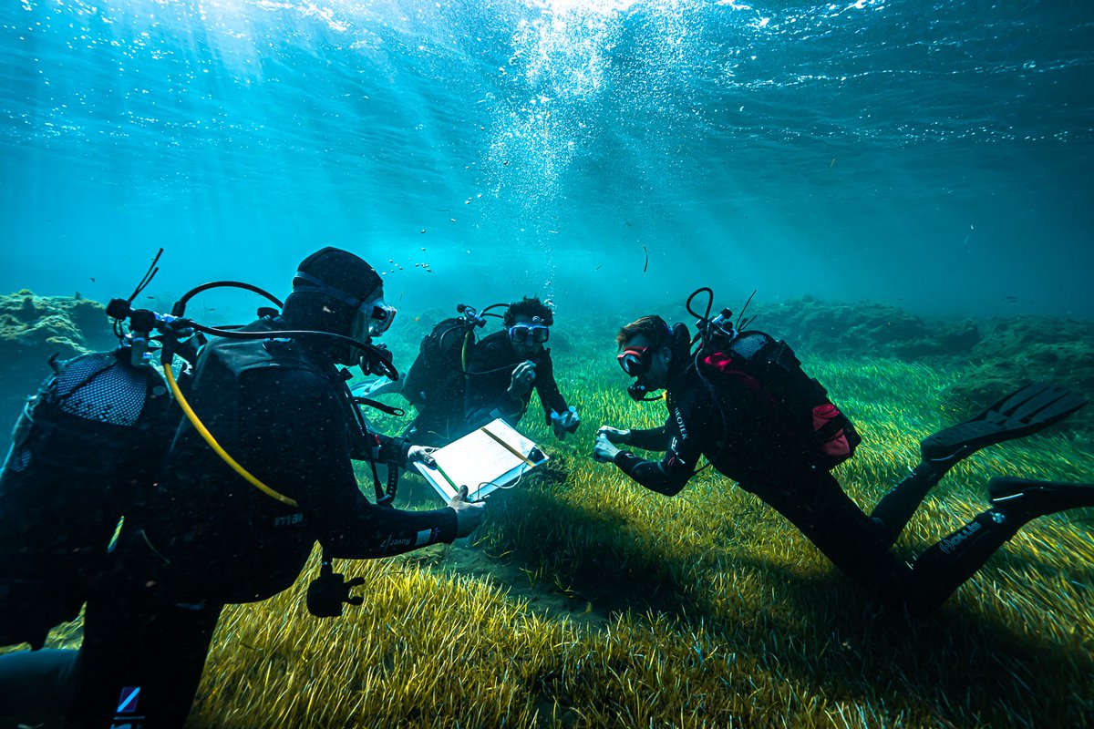 Scoperto sull’isola di Vulcano un batterio che assorbe l’anidride carbonica
Ricercatori #UniPa nel team del progetto 2Frontiers (2FP) sul ruolo dei microrganismi che vivono nei vulcani marini e in altri ambienti estremi

Maggiori info: t.ly/Lt_3O - <a href="/twofrontiers/">The Two Frontiers Project</a>