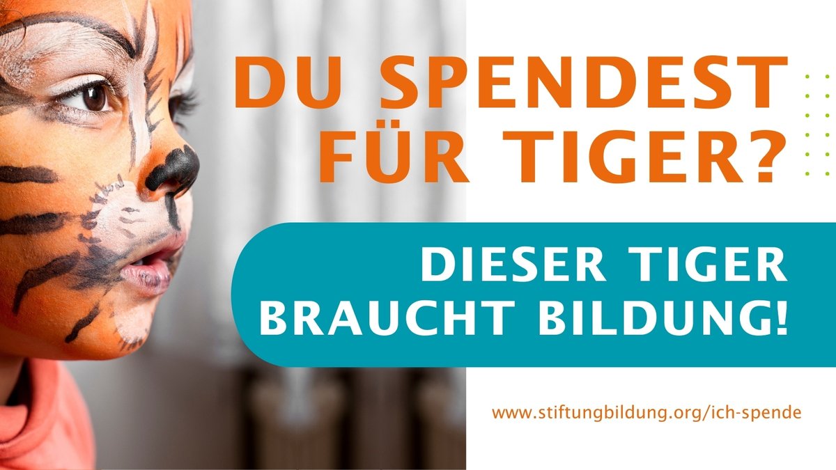 Stiftung Bildung tweet media