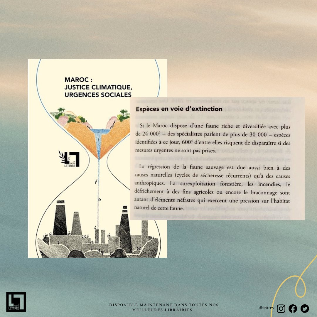 Citation du jeudi ✍️ Espèces menacées: la biodiversité en danger, Fedoua Tounassi : Si le Maroc dispose d'une faune riche et diversifiée avec plus de 24 000 - des spécialistes parlent de plus de 30 000 - espèces identifiées à ce jour, 600 d'entre elles risquent de disparaître...