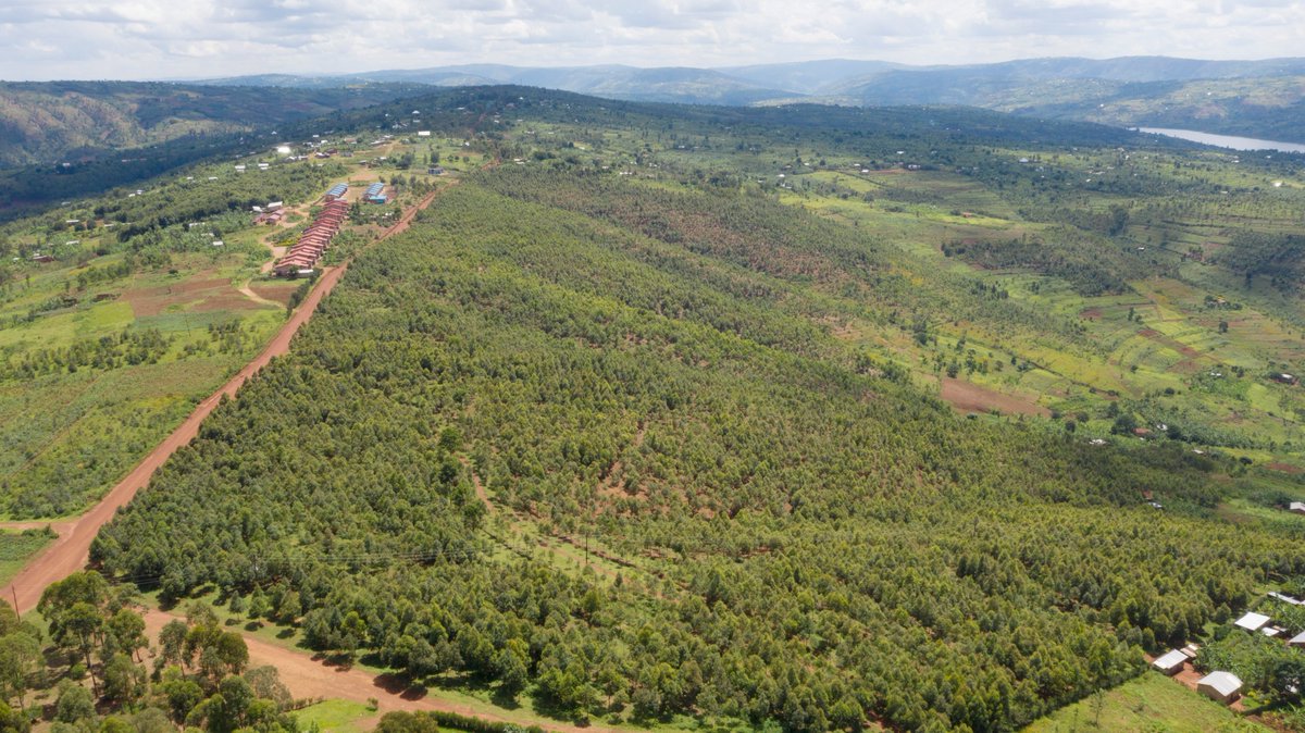 Rwanda Water Resources Board | RWB tweet media