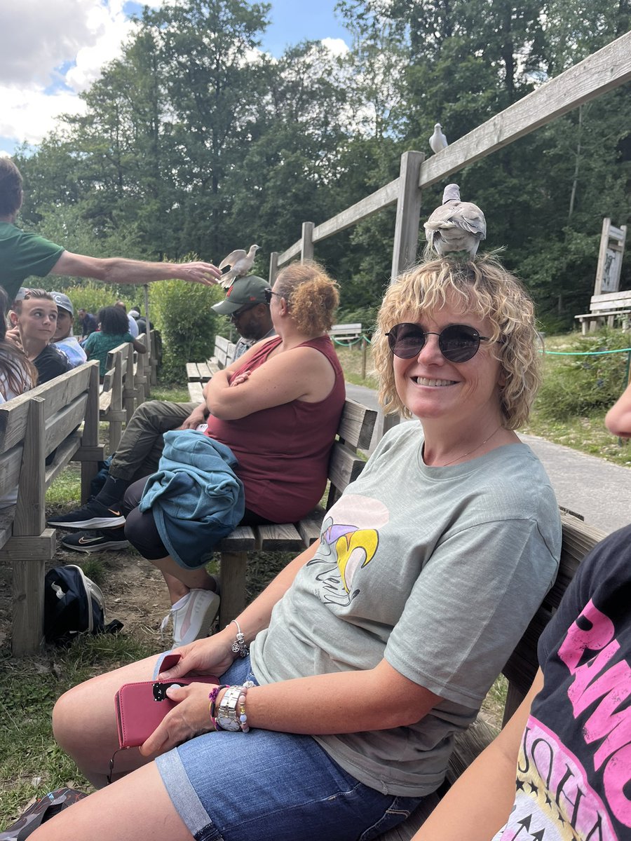 Spectacle des oiseaux : rencontre de maîtresse Nathalie et d’une tourterelle