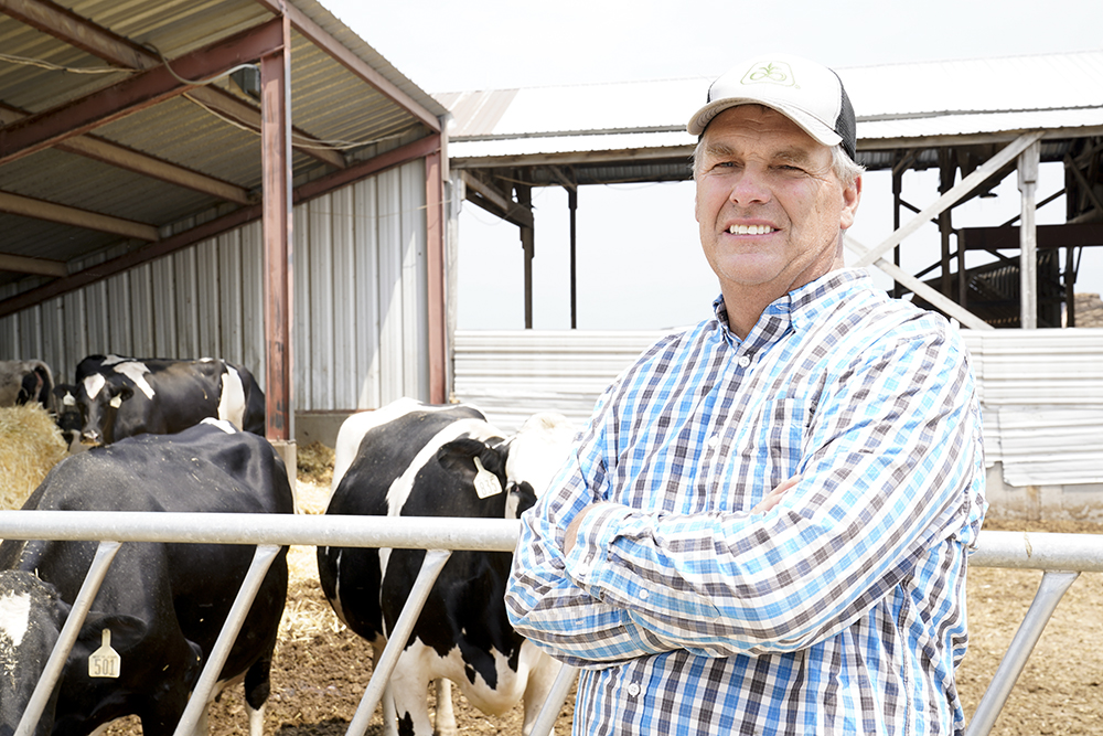 DairyWest's tweet photo. Animal welfare is top of mind for all our farmers. Whether that is taming the summer heat, restful accommodations, to the cow's diet, and everything in between. Our farmers are committed to doing what's best for their cows. Learn how at https://t.co/GGxEoUu8vq 
#WeKnowDairy https://t.co/MGuoIOPoEV