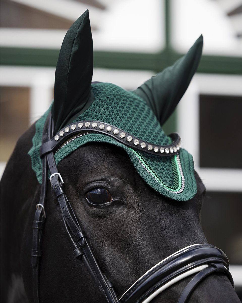 Class and elegance never go out of style!
#EquestrianStyle #EquestrianSport #HorseLove  #HorseRider  #EquinePassion #RidingInStyle #ElegantHorse #ClassyEquestrian #EquestrianLife #HorsePower #EquineBeauty