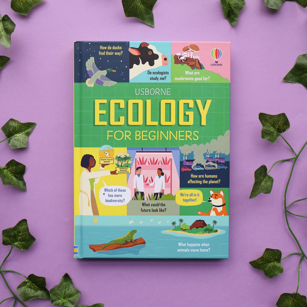 To celebrate the publication of #EcologyforBeginners, we are giving away 5 copies! An ideal book to explain to curious minds what ecology is all about, and what questions ecologists are trying to find answers to. Like/RT to enter. UK Only. Ends 25/03 #UsborneBooks