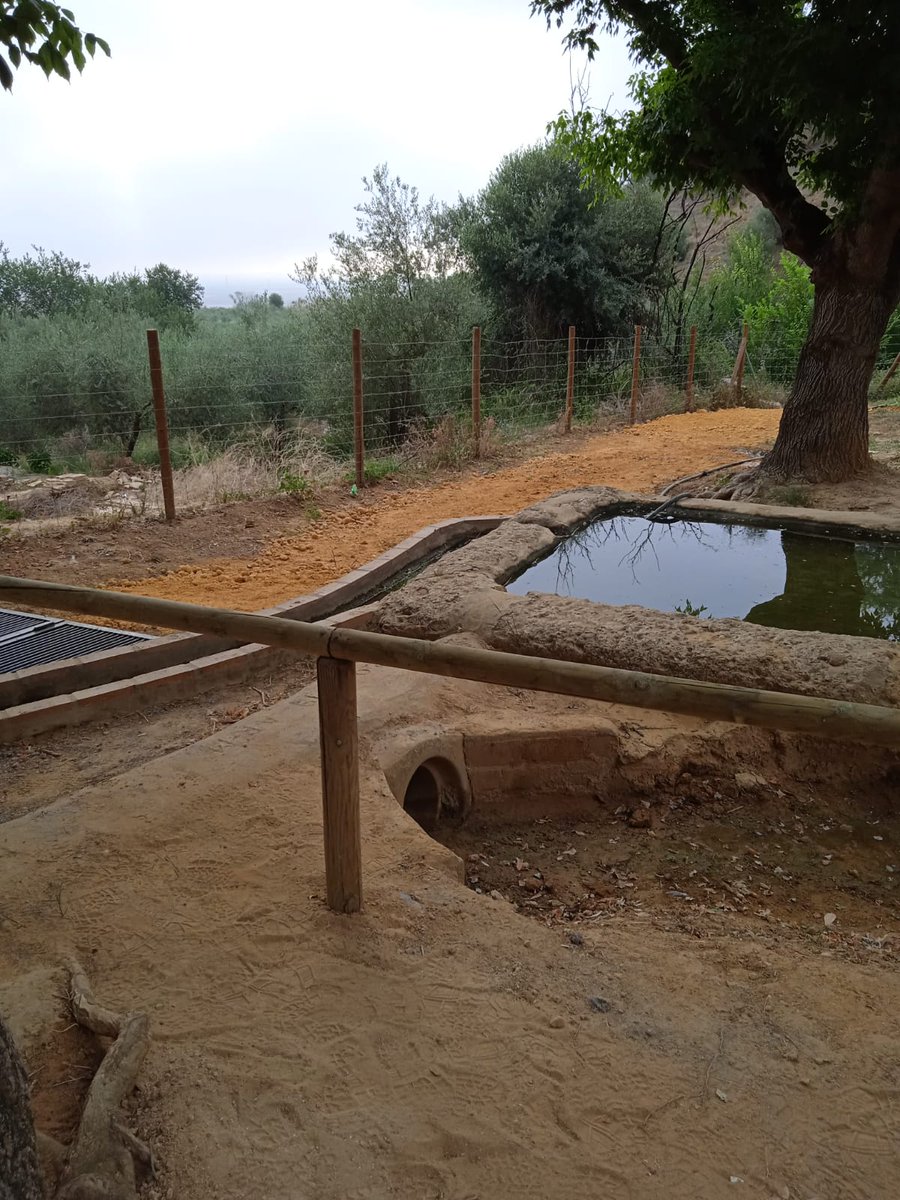 GabiSantosBoni's tweet photo. Se sigue trabajando en el Parque de La Muela para embellecerlo y hacerlo más  seguro a la ciudadanía.

¡Nos vemos esta noche en los conciertos de la Fuente de La Muela! https://t.co/t9EkV6qY1S