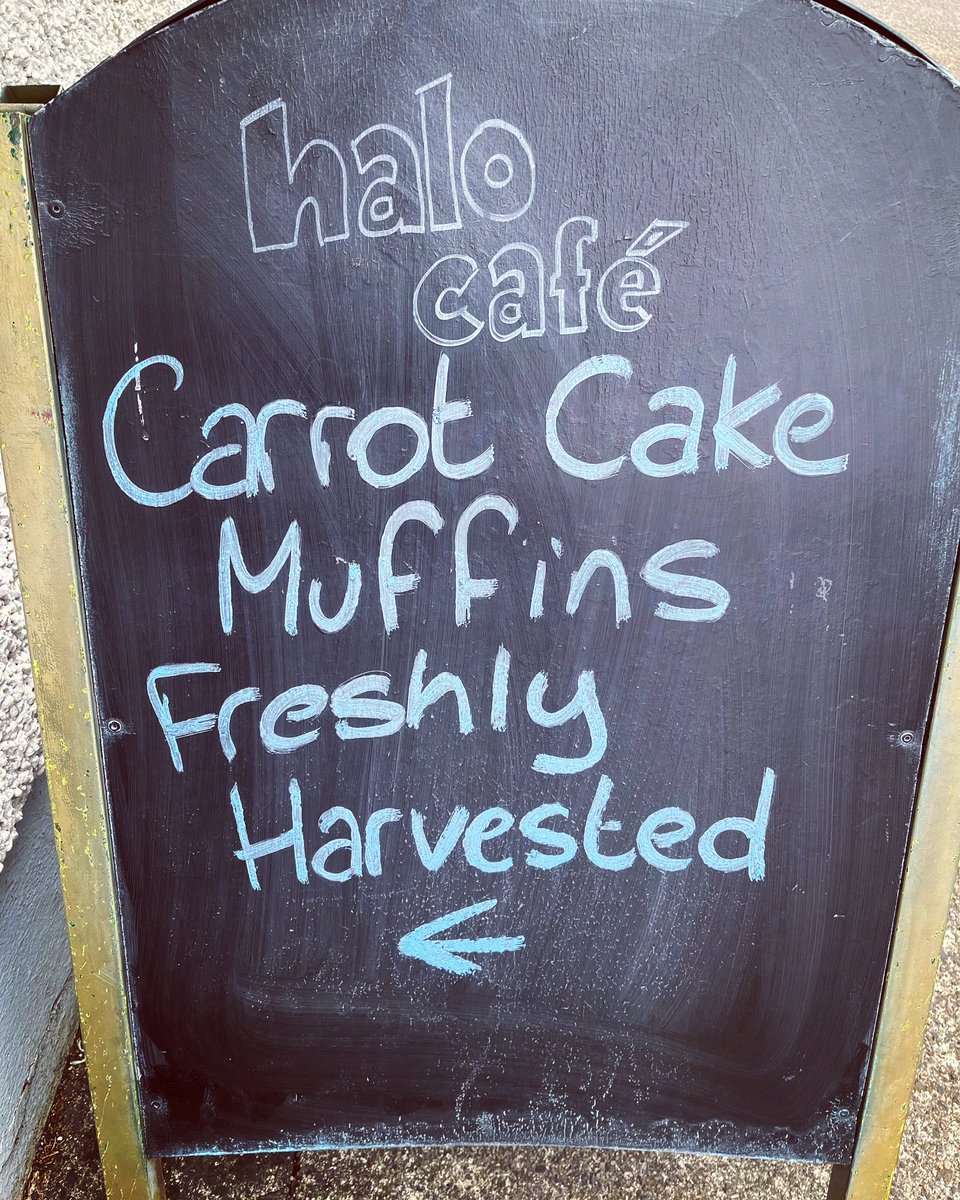 All our carrot cake muffins are picked every evening by the light of the stars. 

This reduces the effect of gravity on the light textured crumb. 

Call in and find out all the bakery secrets you never really wanted to know . . . #Muffins #CarrotCake