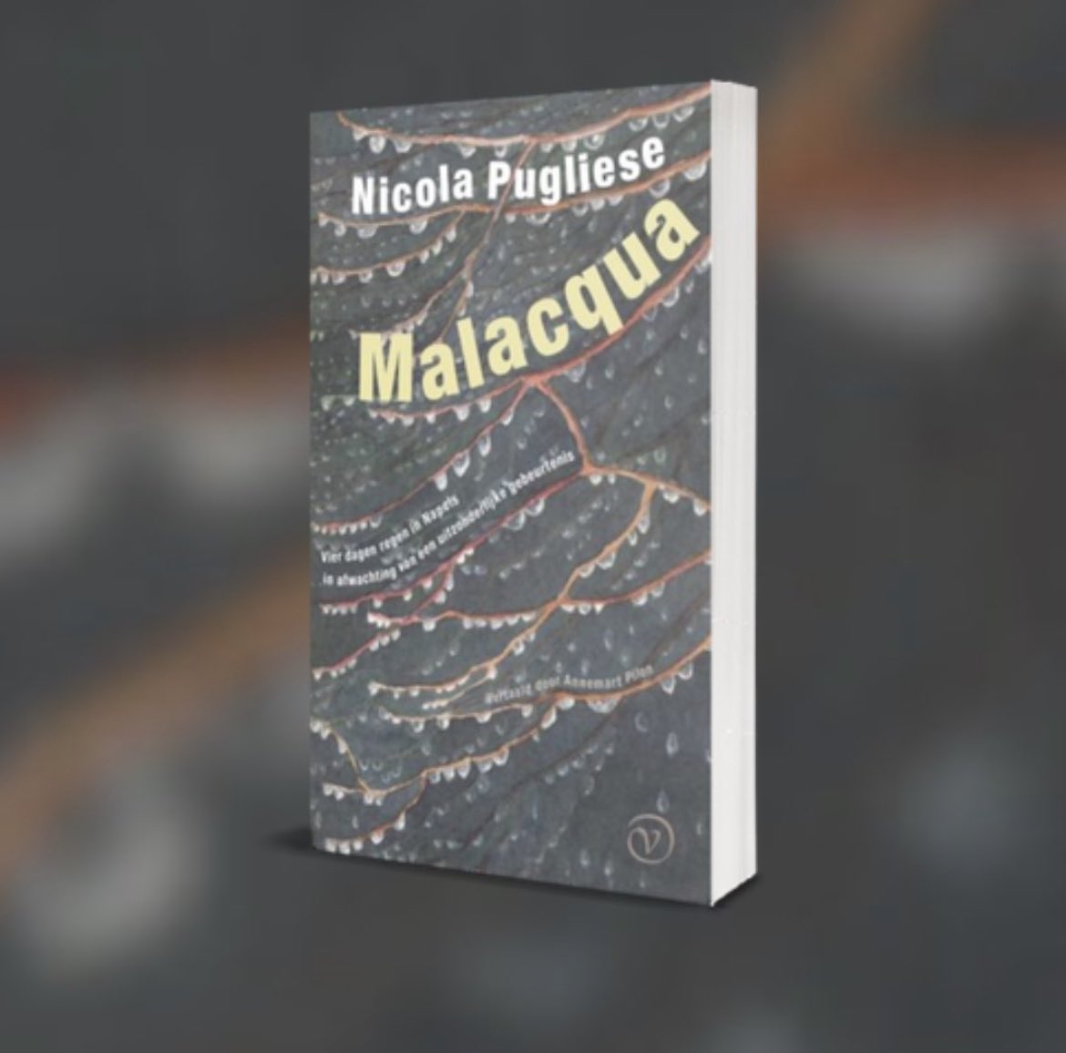 Malacqua di Nicola Pugliese continua il suo viaggio nel mondo,  da oggi nelle librerie olandesi ☔️